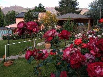 Alojamiento en Huinganco Las Rosas de Huinganco