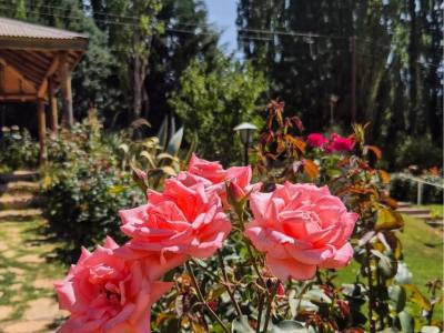 Alojamiento en Huinganco Las Rosas de Huinganco