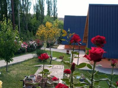 Alojamiento en Huinganco Las Rosas de Huinganco