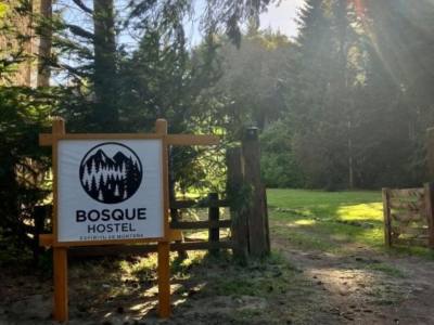 Bosque Hostel