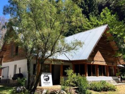 Hostels Bosque Hostel