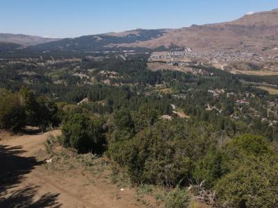 Real Estate Offices Jorge Echavarría