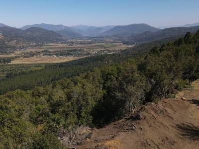 Real Estate Offices Jorge Echavarría