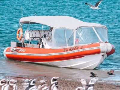 Avistajes Excursiones Pinocho