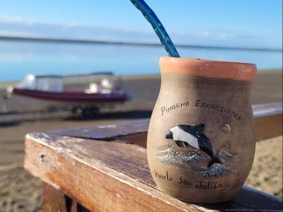 Avistajes Excursiones Pinocho