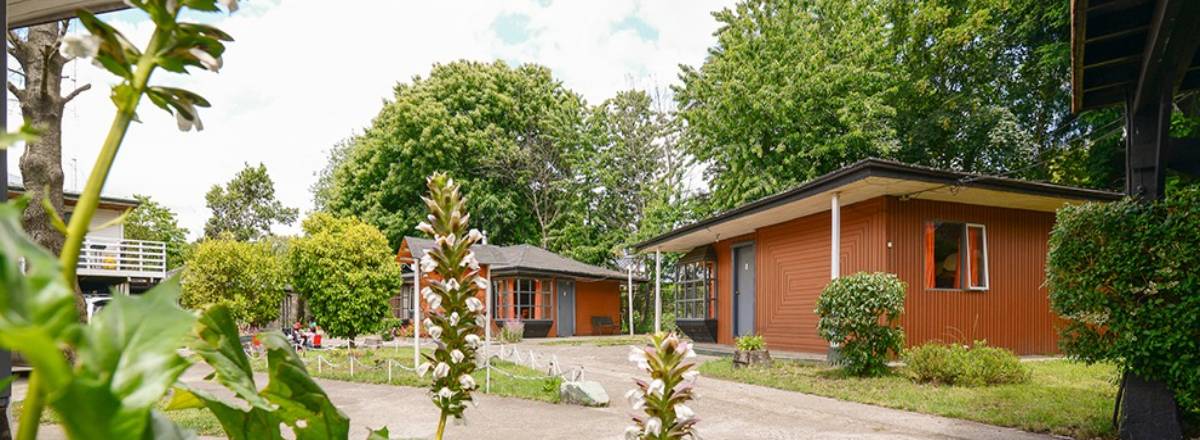 Cabins Neuquén