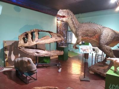 Museums Histórico y de Ciencias Naturales