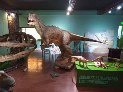 Museums Histórico y de Ciencias Naturales