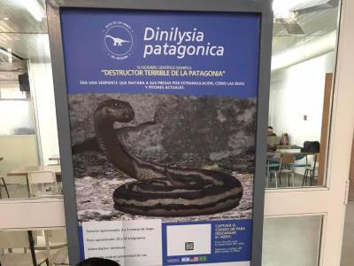 Museums De Ciencias Naturales