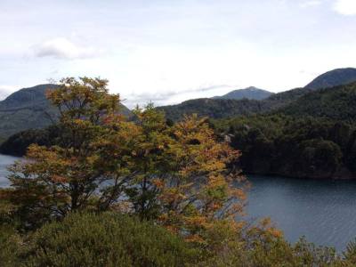 Travel and Tourist Agency Transitando lo Natural