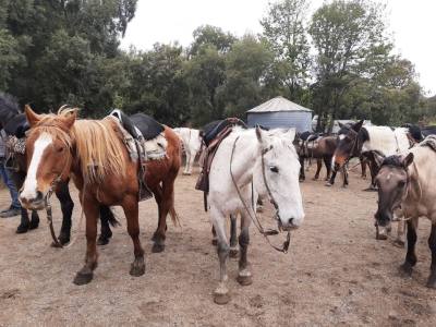 Horseback Riding Trips Tom Wesley