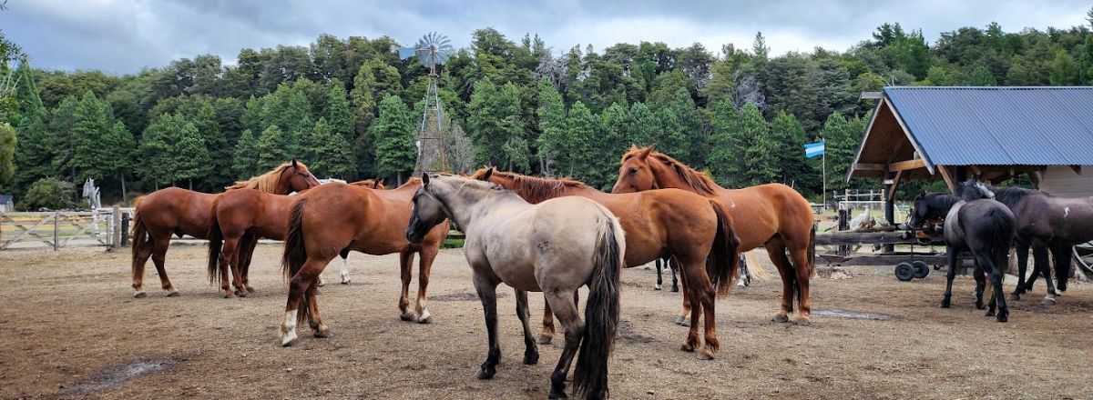 Horseback Riding Trips Tom Wesley