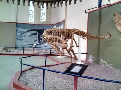 Museums Carmen Funes -Plaza Huincul