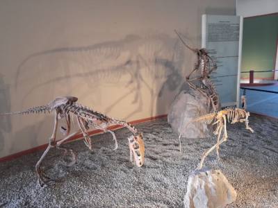 Museums Carmen Funes -Plaza Huincul