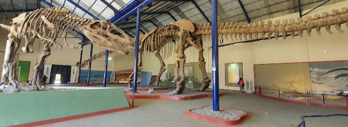 Museums Carmen Funes -Plaza Huincul