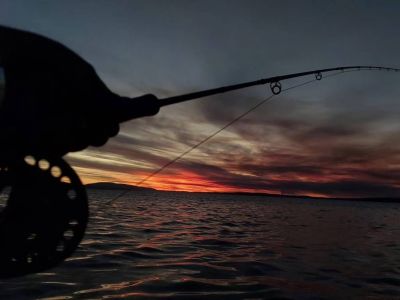 Fishing Outings Mario's Fishing Zone