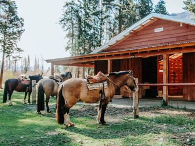 Cabins Aldea Los Huemules