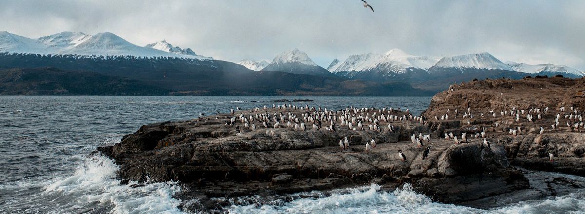 Agencias de viajes y turismo Rumbo Sur