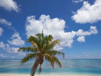 Travel and Tourist Agency Dannemann Viajes