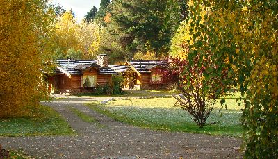 CABAÑAS EN EL CORAZÓN DEL BOSQUE