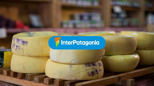 Gastronomia