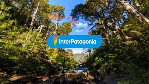 Parque Nacional Huerquehue