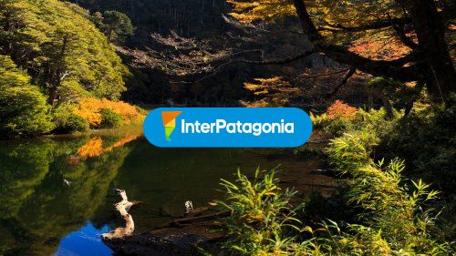 Parque Nacional Huerquehue
