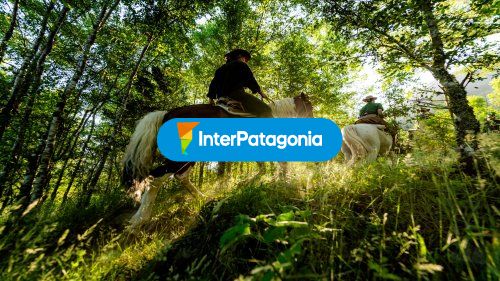 Pucon Cabalgata