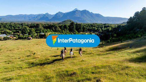 Pucon cabalgata
