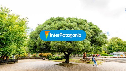 Pucon city tour