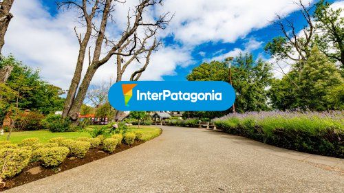 Pucon city tour