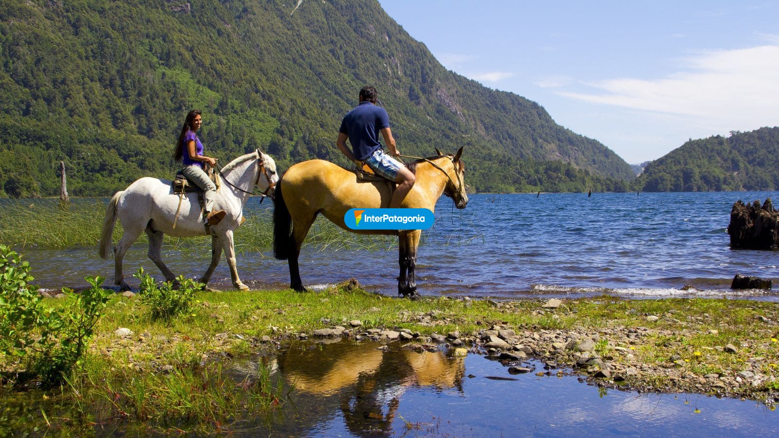 Verano en Pucn - Pucn