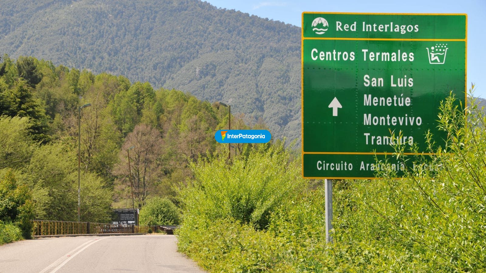 Camino a las termas - Puc�n
