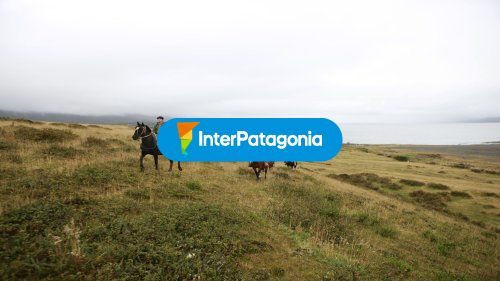 Paisaje y cabalgatas