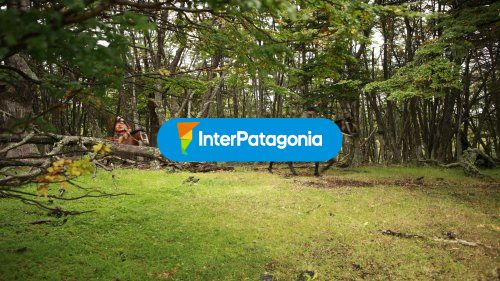 Cabalgatas en Puerto Williams
