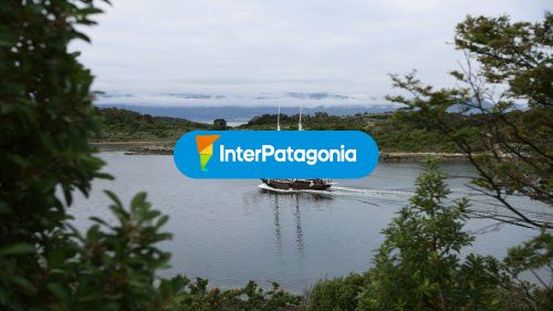 Paseos en Barco