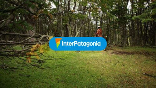 Paisaje y cabalgatas