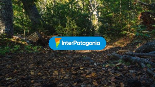 Colores en Parque Omora