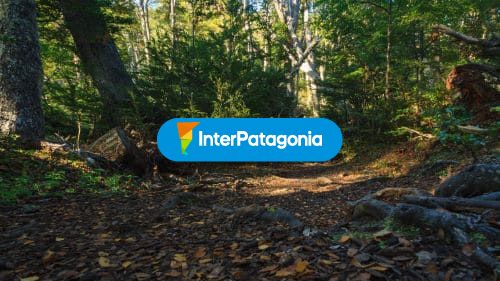 Parque nacional Omora