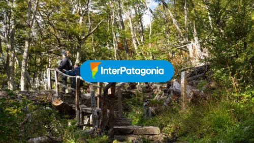 Caminata en Parque Omora