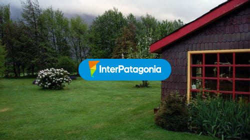 Patagonia Green