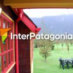 Patagonia Green