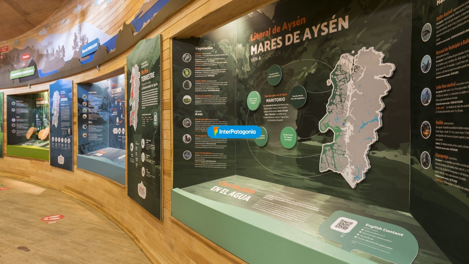 Mares de Aysen - Puerto Ays�n