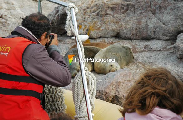 Excursin por la ra - Puerto Deseado