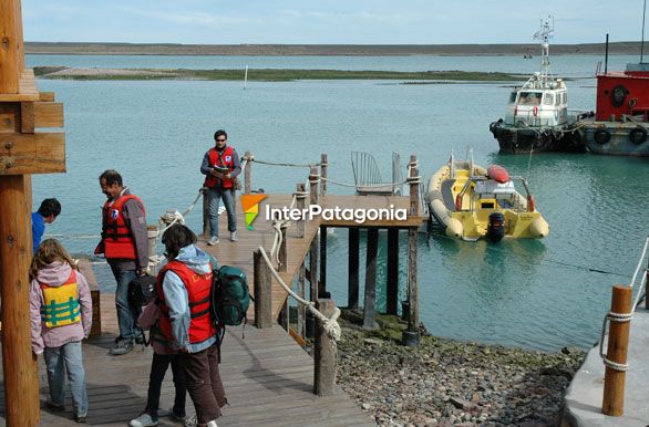 Salida de excursin - Puerto Deseado