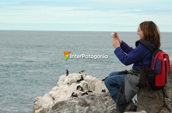 Safari fotogrfico en Cabo Blanco - Puerto Deseado