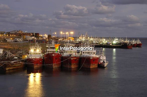 El puerto y sus luces - Puerto Deseado