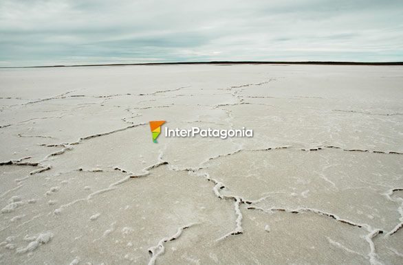 Salina Cabo Blanco - Puerto Deseado