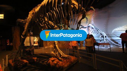Museos