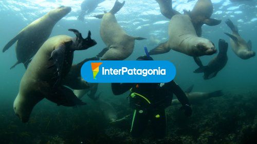 Actividades marinas